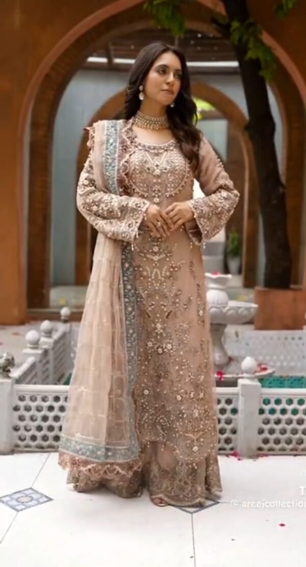 brown color 3 piece fancy dress for woman in large size (size: L).